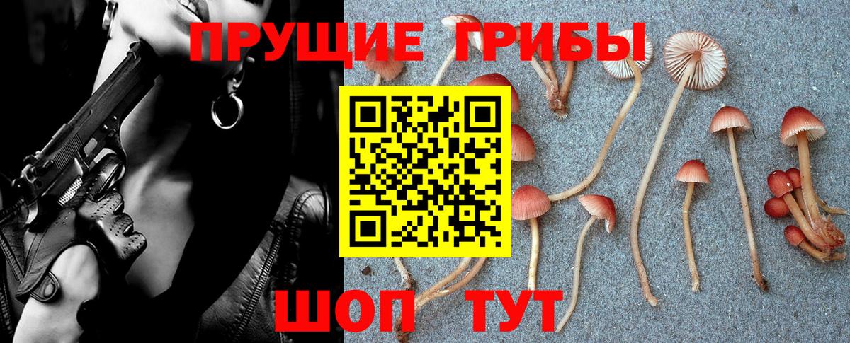 где можно купить наркотик  Псилоцибиновые грибы MAGIC MUSHROOMS  Вход с VPN  Череповец  Галлюциногенные грибы Psilocybe 