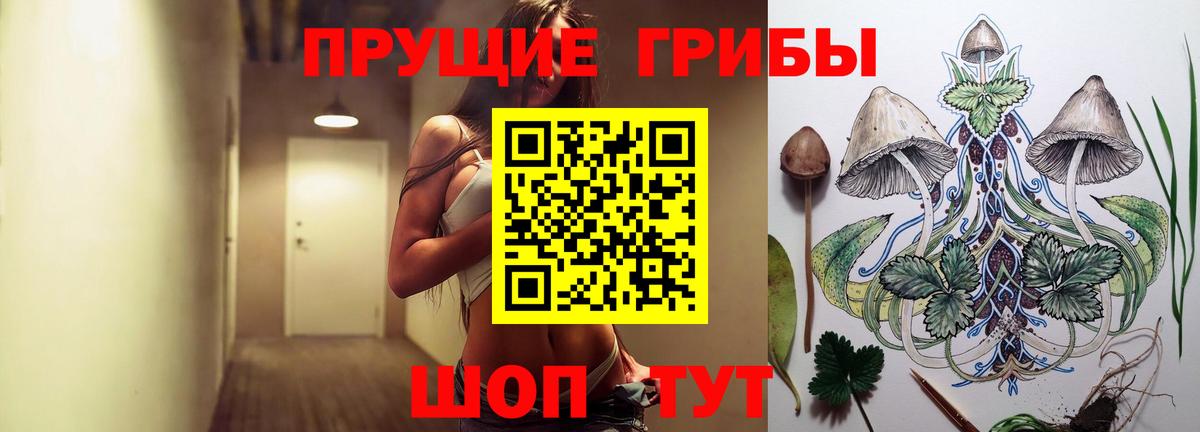 Псилоцибиновые грибы прущие грибы Череповец